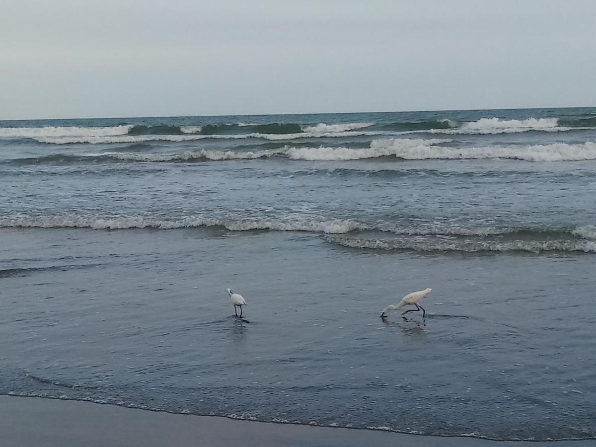 Predio Com Piscina Na Cobertura Frente Ao Mar, Apartamento Para Ate 6 Adultos E 3 Criancas Ate 8 Anos, Churrasqueira Na Sacada, Wi-Fi Gratis, Nao Oferecemos Roupas De Cama E Banho, 1 Vaga De Garagem, Na Praia Grande-Vila Mirim Διαμέρισμα Εξωτερικό φωτογραφία